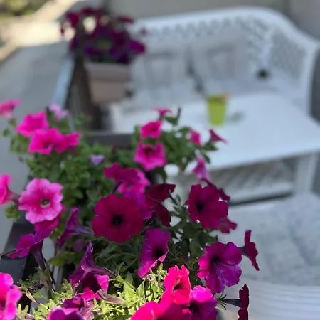 Odmor Apartment